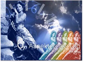 6 Aspekter av Dig - 300 kr rabatt