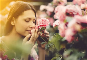 Mästare på Mindfulness på 5 minuter