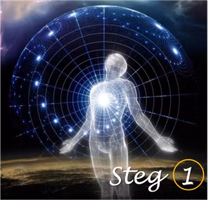 STEG 1 Healing Bootcamp: Tidigare Liv och Karma (Basic)