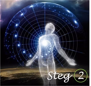 STEG 2 Healing Bootcamp: Tidigare Liv och Karma (Basic)