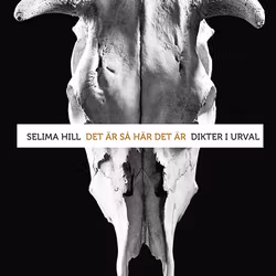 Det är så här det är