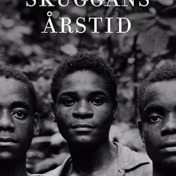 Skuggans årstid