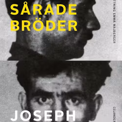 Våra sårade bröder