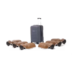 HLR-Docka Little Anne 6-pack Mörk