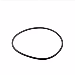 O-ring till sandfilter