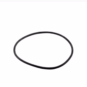 O-ring till sandfilter
