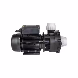 Spapump LX LP300