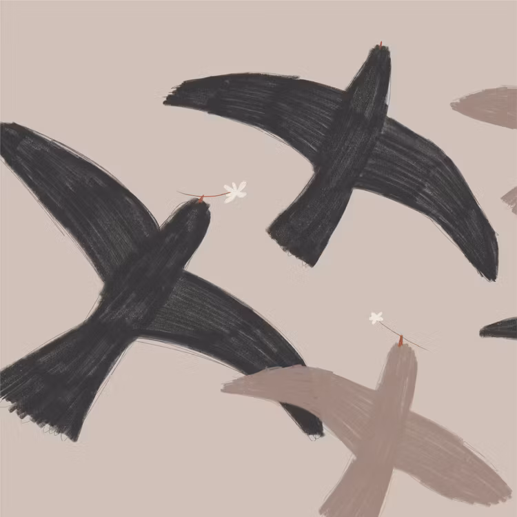 Passing birds 70x50