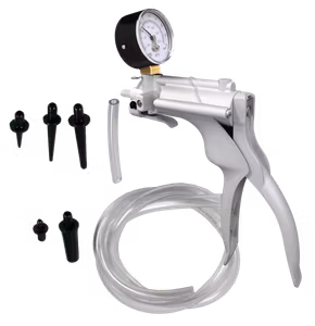 Pressure vacuum pump