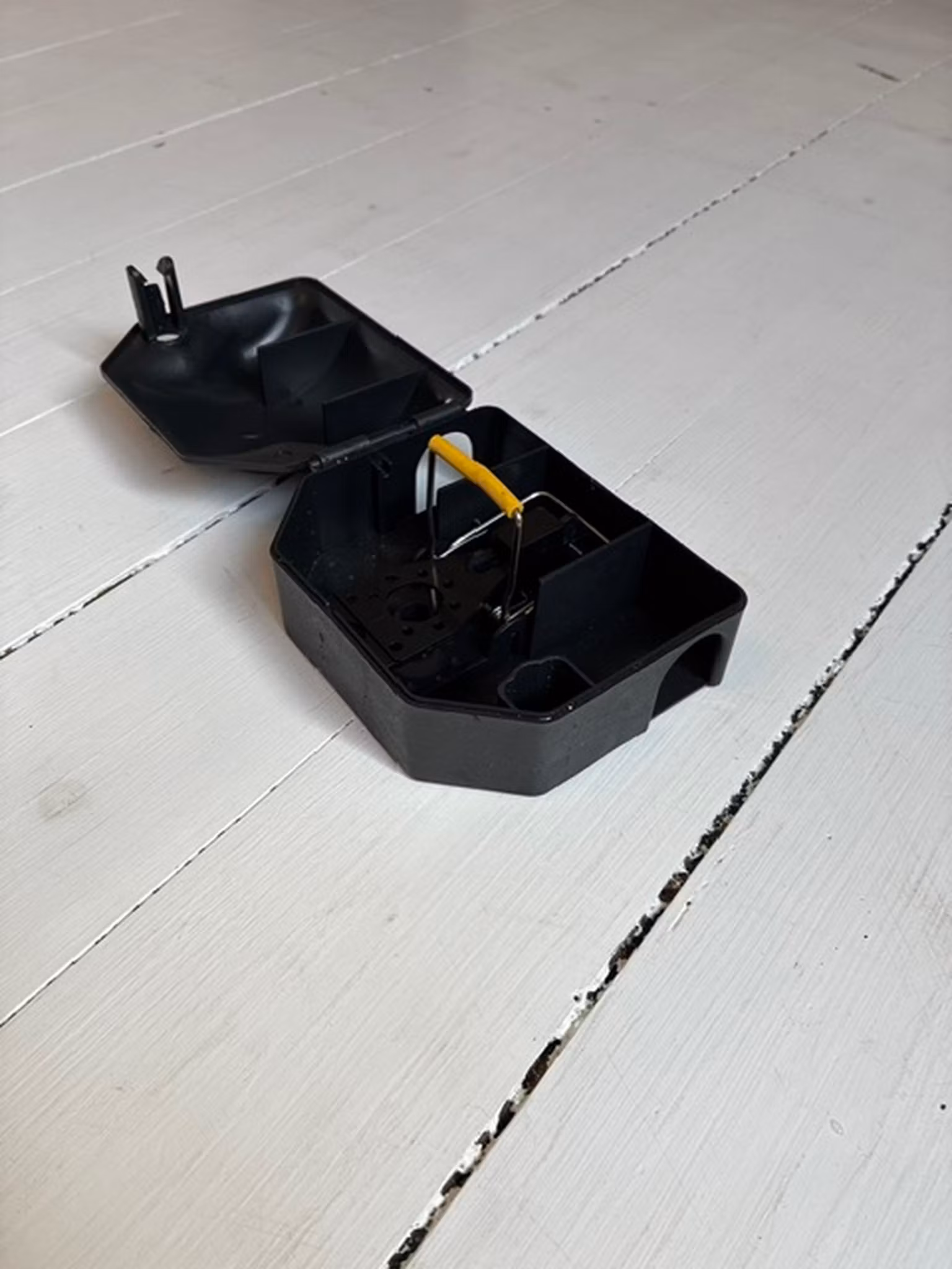 Musfälla låda smart inkl 1 st musfälla. Ord pr 179 kr.