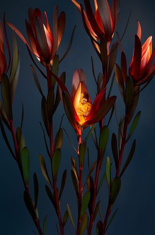 Lights by Night II