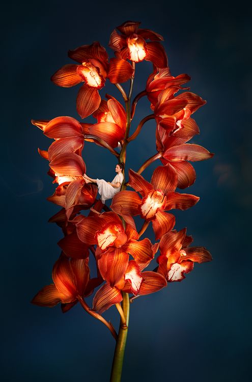 Lights by Night III