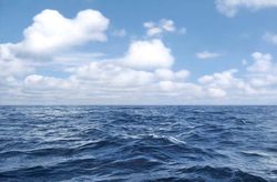 Seascape IX