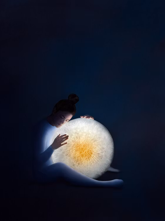 Gravity II