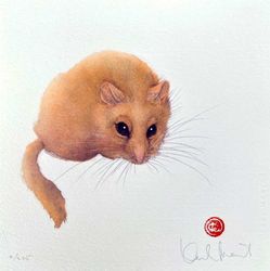 Hasselmus