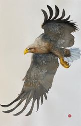 Havsörn