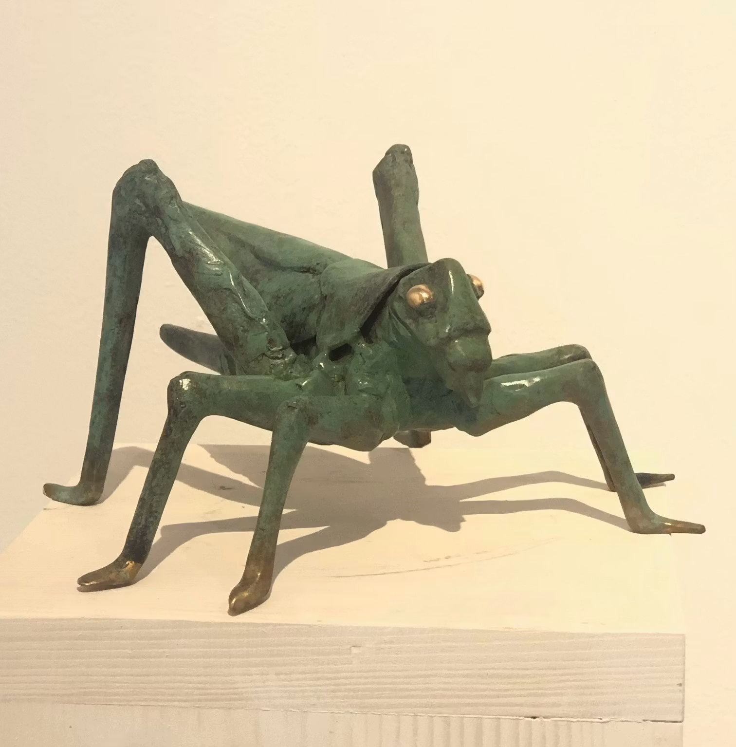 Bella Cavalletta