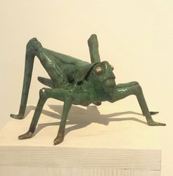 Bella Cavalletta