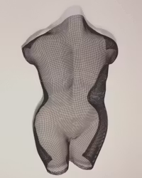 Torso