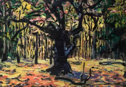 Nedfallna Grenar