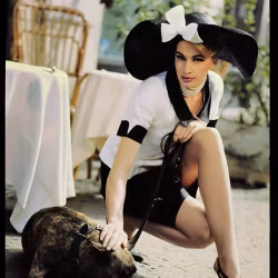 Harpers Bazaar Milano Café with dog