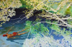 The Swimmer