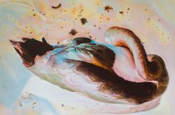 The Swan