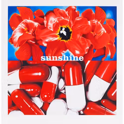 Sunshine Daydream