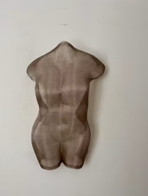 Torso