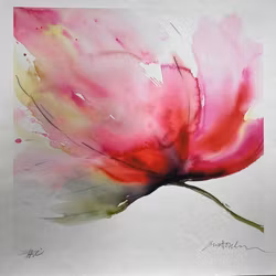 Vallmo, Vinden går lojt genom fälten