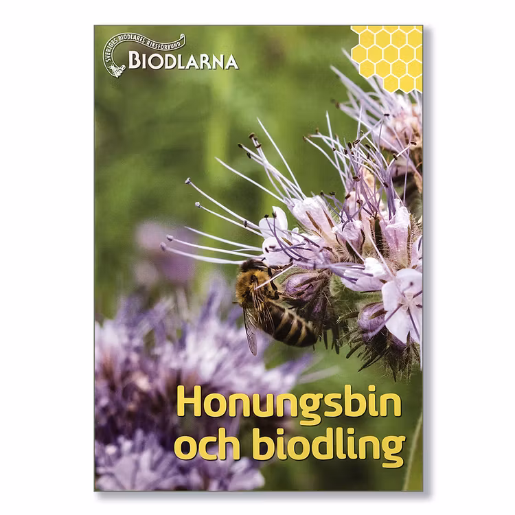 Värvarpaketet  2