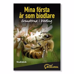 Mina första år som biodlare