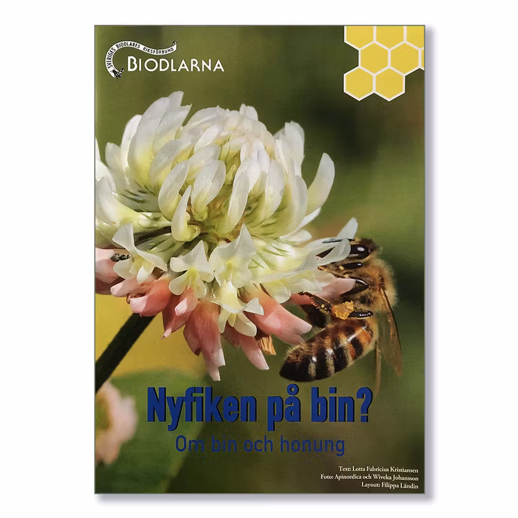 Nyfiken på bin