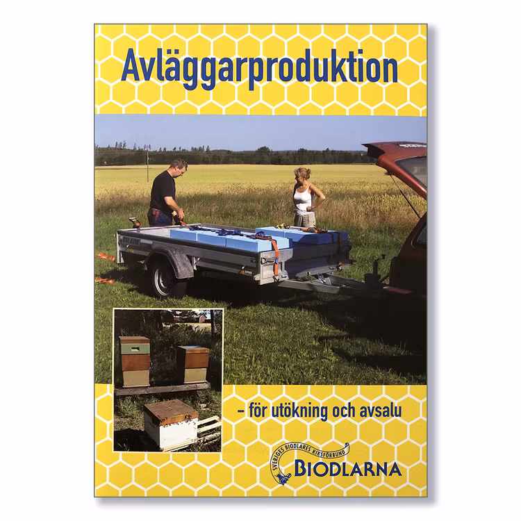 Avläggarproduktion
