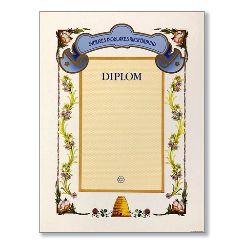 Stort Diplom