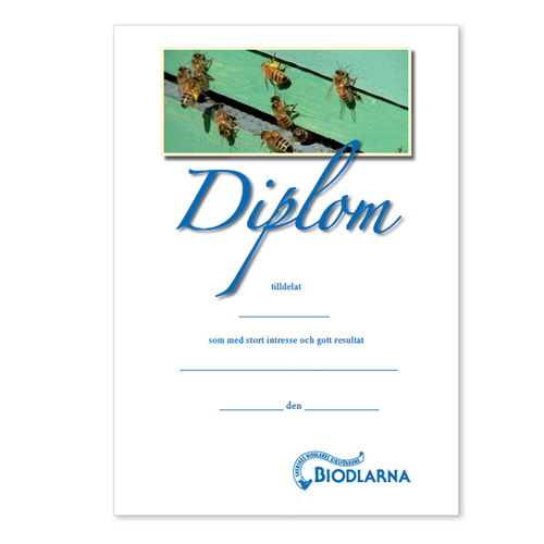 Diplom