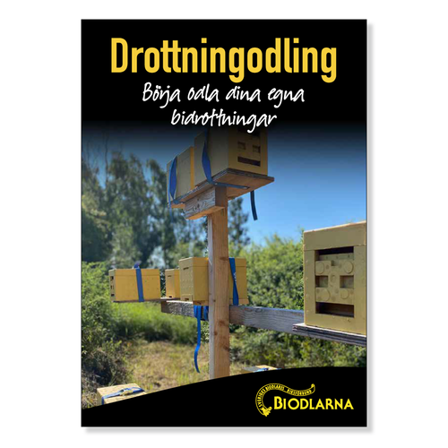 Drottningodling - Börja odla dina egna drottningar
