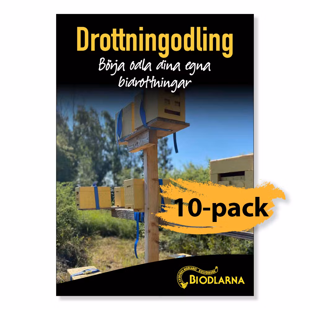 Drottningodling - Börja odla dina egna drottningar 10-pack