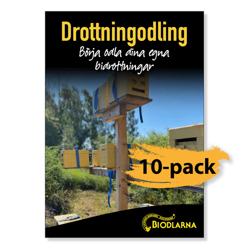 Drottningodling - Börja odla dina egna drottningar 10-pack