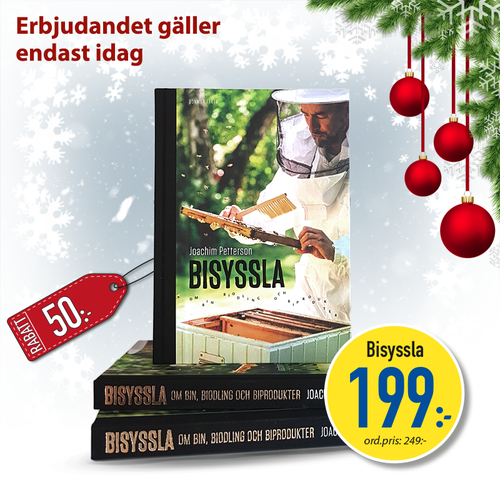 Julerbjudande - Bisyssla