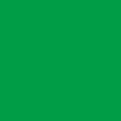 DecoArt Americana Festive Green
