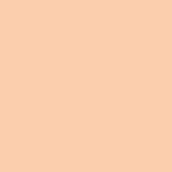 DecoArt Americana Warm Beige