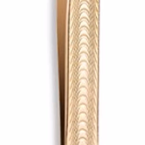 Tweezer stainless steel