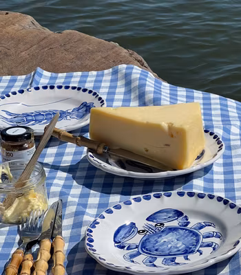 Marina dinner plate 26 cm, crab motif