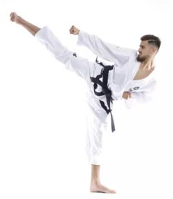 TOP TEN: ITF TAEKWON-DO DRÄKT PREMIUM GOLD 1-3 DAN