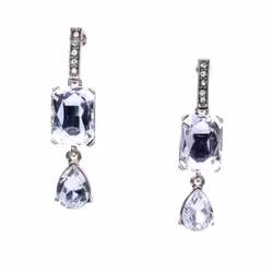 Stella Clear Earrrings