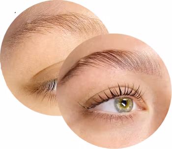 Created By Belle - DIY Brow kit