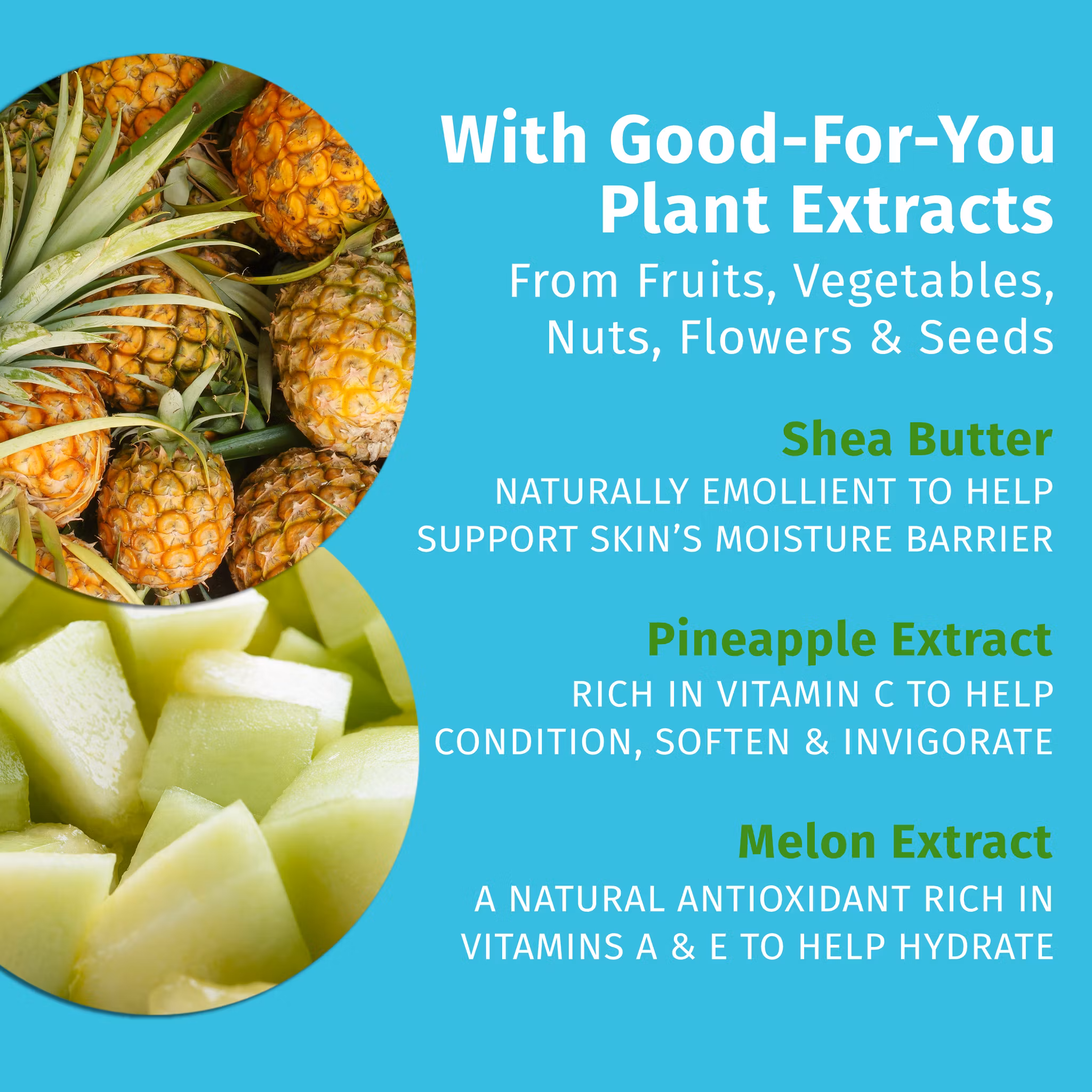 Hempz - Sweet Pineapple Honey Melon Herbal Body Moisturizer 500ml