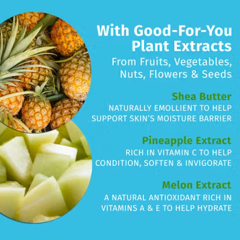 Hempz - Sweet Pineapple Honey Melon Herbal Body Moisturizer 250ml