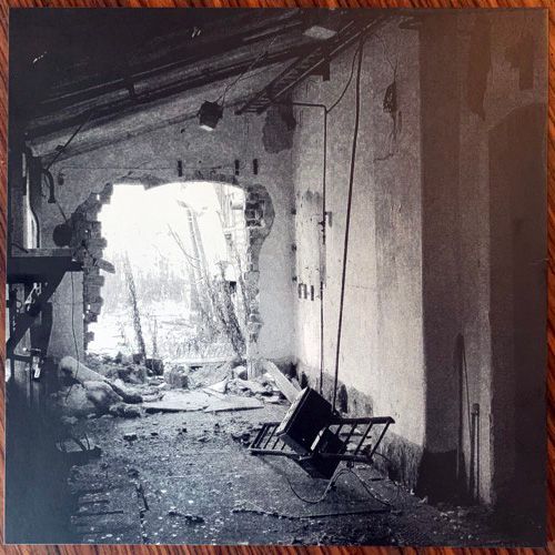MEGAPTERA A Horse In The Eye Is Part Of The Art (Cloister - USA original) (NM) LP+CD